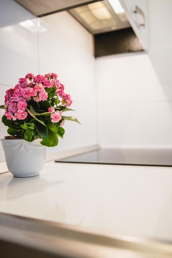 Apartmani Tena เซลเซ ภายนอก รูปภาพ